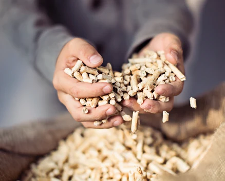 Hände halten Holzpellets über einem gefüllten Sack.