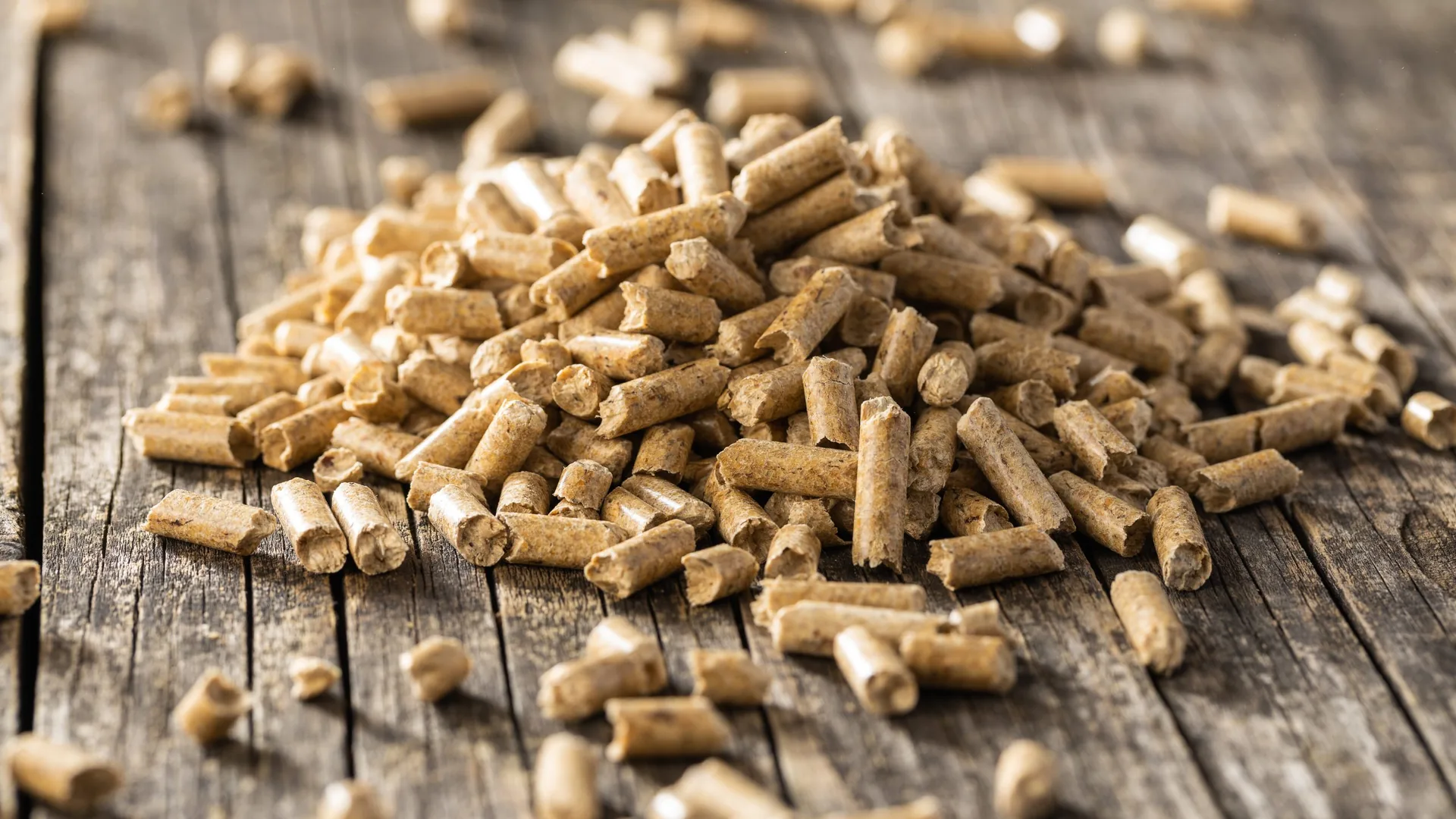 Holzpellets aus nachhaltiger Forstwirtschaft.