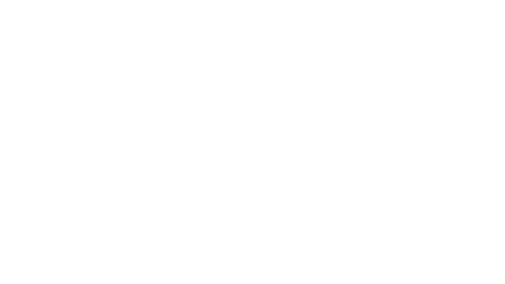 ÖkoFEN-Logo